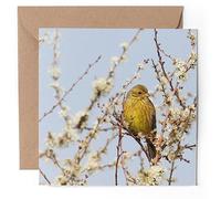 1 x Greeting Card - Yellowhammer Bird Nature Wildlife - Blank Birthday Celebration Anniversary #52550