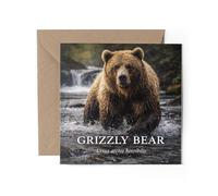 1 x Grizzly Bear Greeting Card - Latin Name Animal Science Biology Birthday Gift #72037