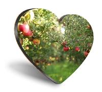 1 x Heart Coaster - Apple Orchard Garden Cork Backed MDF Glossy Tea Coffee Accessory #50109