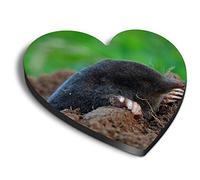 1 x Heart MDF Magnets - Black Mole Wildlife Animal 44321
