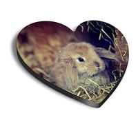 1 x Heart MDF Magnets - Cute Baby Bunny Rabbit Pet Animal 44752