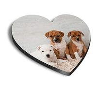 1 x Heart MDF Magnets - Cute Staffie Puppies Dog Animals Pets 8638