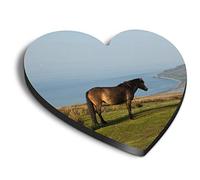 1 x Heart MDF Magnets - Exmoor National Park Devon 3262
