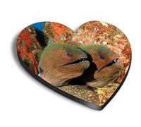 1 x Heart MDF Magnets - Giant Moray Eels Ocean Sea Diver 24348