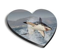 1 x Heart MDF Magnets - Great White Shark Hunting Breach 21644