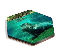 1 x Hexagon Coaster - Mother & Baby Hippo Wild Animal Cork Backed MDF Glossy Tea Coffee Accessory #51490