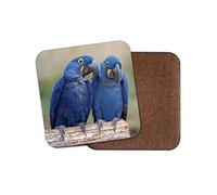 1 x Hyacinth Macaw Coaster - Bright Blue Bird Parrot Jungle Cute Love #12567