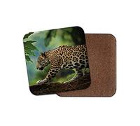 1 x Jungle Leopard Coaster - Panther Big Cat Wild Animal Africa Fun #14799