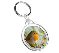 1 x Little Red Robin Sitting Tree - Keyring IR02 Dad Kids Birthday #14318