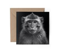 1 x Macaque Monkey Portrait Greeting Card - Black & White Photography Wild Animal Office Birthday Gift #71689