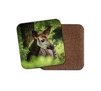 1 x Okapi Forest Animal Coaster - Giraffe Zebra Wild Mum Dad Auntie #16952