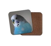 1 x Pretty Blue Budgie Coaster - Budgerigar Bird Parrot Pet Fun #14623