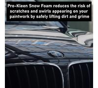 (1 x ProKleen Karcher Lance) Pro-Kleen Bubblegum Snow Foam 10L Detailing Kits