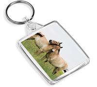 1 x Przewalski's Horses Riding Pet - Keyring - IP02 - Mum Kids #3584