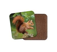 1 x Red Squirrel Coaster - Nature Wildlife Wild Animal Forest Cute #15680