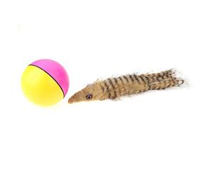 1 x Rolling Ball False Beaver Weasel Toy Pet Cat Play Interactive Toy The Colour Will Be Sent Randomly Cost-Effective and Durable