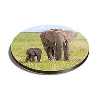 1 x Round Coaster - African Elephant & Calf Africa Cork Backed MDF Glossy Tea Coffee Accessory #50047