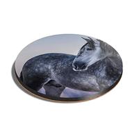 1 x Round Coaster - Grey Andalusian Horse Cork Backed MDF Glossy Tea Coffee Accessory #12472