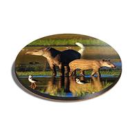 1 x Round Coaster - Tapir Mother & Baby Wild Animal Cork Backed MDF Glossy Tea Coffee Accessory #52225