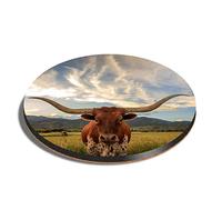 1 x Round Coaster - Texas Longhorn Cow American Cork Backed MDF Glossy Tea Coffee Accessory #14569