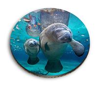1 x Round MDF Magnet - Manatee Mum & Baby Florida USA 45663