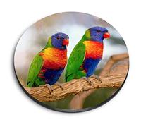 1 x Round MDF Magnet - Rainbow Lorikeet Tropical Parrot Bird 16202