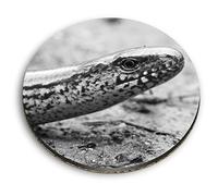 1 x Round MDF Magnet - Slow Worm Snake Nature 38158