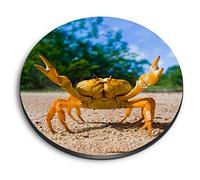 1 x Round MDF Magnet - Yellow Fighting Crab Beach Sea 14621