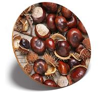 1 x Rustic Conkers England UK - Round Coaster Kitchen Student Kids #12978