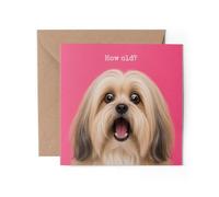 1 x Shocked Lhasa Apso Greeting Card - Happy Birthday How Old? Joke Dog Funny #72601