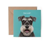 1 x Shocked Miniature Schnauzer Greeting Card - Happy Birthday How Old? Joke Dog Funny #72567