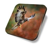 1 x Square Coaster - Buzzard Bird of Prey Wildlife Nature Cork Backed MDF Glossy Tea Coffee Accessory #50425