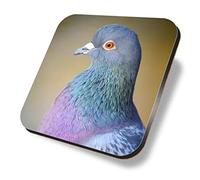 1 x Square Coaster - Common Feral Pigeon Rock Dove Cork Backed MDF Glossy Tea Coffee Accessory #63064