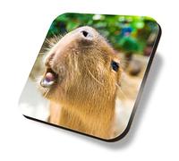 1 x Square Coaster - Cute Capybara Large Rodent Animal Cork Backed MDF Glossy Tea Coffee Accessory #50651