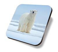 1 x Square Coaster - Polar Bear on Snow Norway Cork Backed MDF Glossy Tea Coffee Accessory #63234