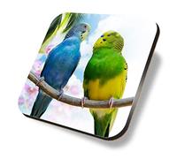 1 x Square Coaster - Pretty Budgie Pair Love Birds Cork Backed MDF Glossy Tea Coffee Accessory #63236