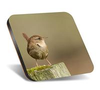 1 x Square Jumbo Size Coaster 12cm A Pretty Wren Garden Bird England Cork Backed MDF Glossy Tea Coffee Accessory #50008
