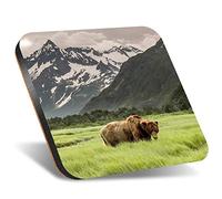 1 x Square Jumbo Size Coaster 12cm Grizzly Bear Alaska Wild Animal Cork Backed MDF Glossy Tea Coffee Accessory #52936