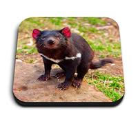 1 x Square MDF Fridge Magnet - Cute Tasmanian Devil Animal 2201