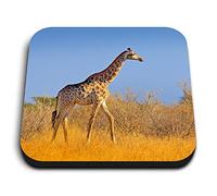 1 x Square MDF Fridge Magnet - Giraffe African Wild Animal Africa 21597