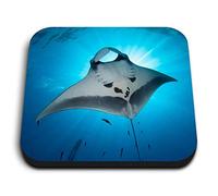1 x Square MDF Fridge Magnet - Majestic Manta Ray Sea Life 3453