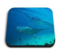 1 x Square MDF Fridge Magnet - Manta Ray Swimming Sea Creature 21840