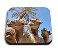 1 x Square MDF Fridge Magnet - ny Camels Animals Desert 8543
