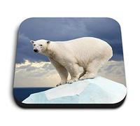 1 x Square MDF Fridge Magnet - Polar Bear Ice Animals Wild 8586