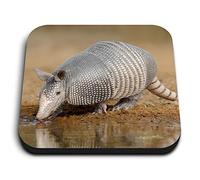1 x Square MDF Fridge Magnet - Texan Armadillo Animal Desert 15712