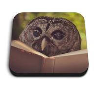 1 x Square MDF Fridge Magnet - Wise Barn Owl Reading Book Lover 46462