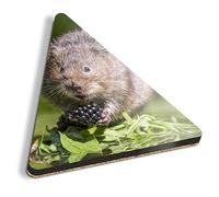 1 x Triangle Coaster - Cute Water Vole Wild Animal Nature Cork Backed MDF Glossy Tea Coffee Accessory #52790