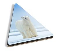1 x Triangle Coaster - Polar Bear on Snow Norway Cork Backed MDF Glossy Tea Coffee Accessory #63234