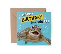 1 x Turtle Greeting Card - Happy Birthday Shocked How Old? Joke Funny Cute #72671