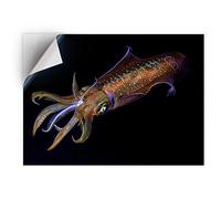 1 x Vinyl Sticker A5 - Rectangle Shape 15,8x21cm Neon Squid Fish Ocean Wild Art Print Decal Laptop Tablet Luggage Car Wall Fridge Door Sticker #51542